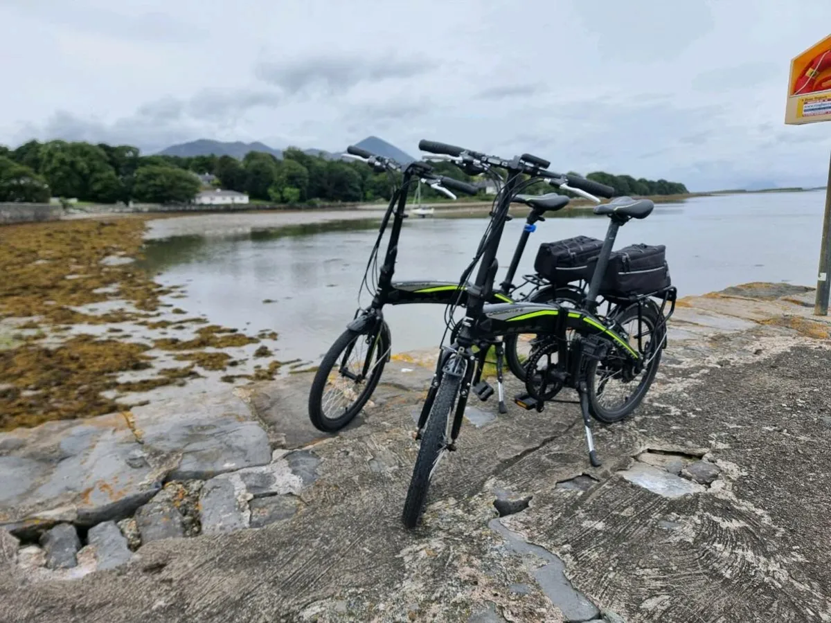 FOLDABLE electric bicycles - Image 1