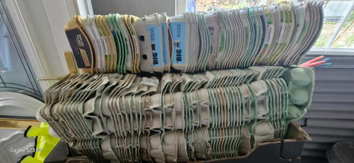 Egg cartons. - Image 1