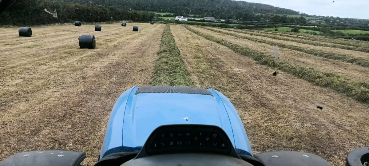 Silage bales - Image 1