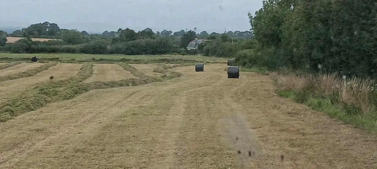 Silage bales - Image 2