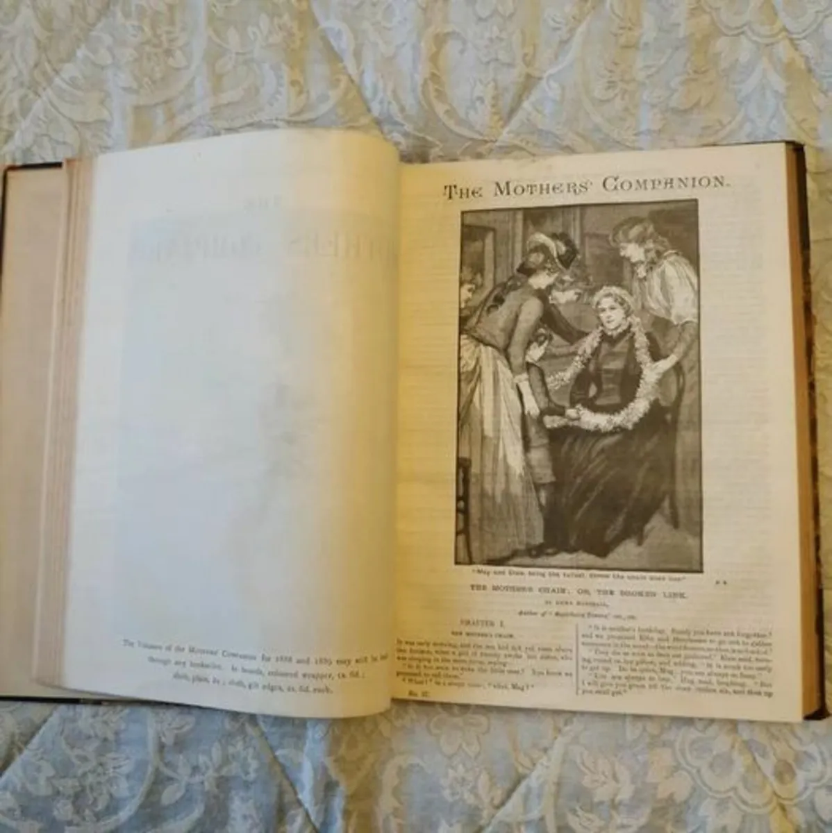 Antique Book: Mother's Companion from 1889 - Image 4