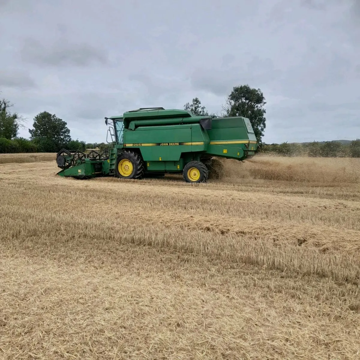 John deere 2054 - Image 2