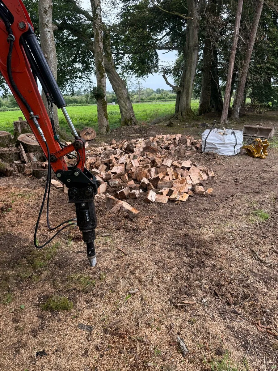 Auger Torque Log Splitter - Image 2