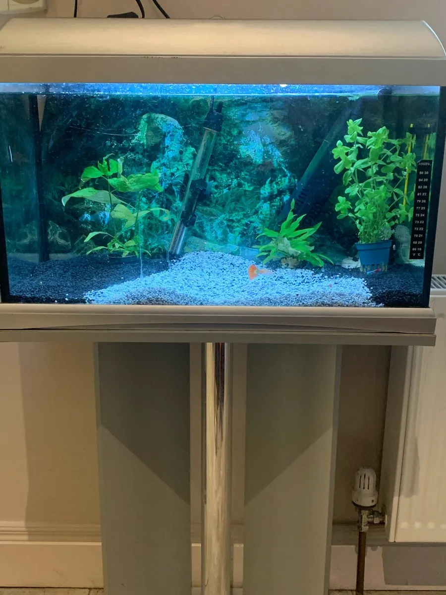 Aquarium Silver Jewel Fish Tank with Stand - Image 1