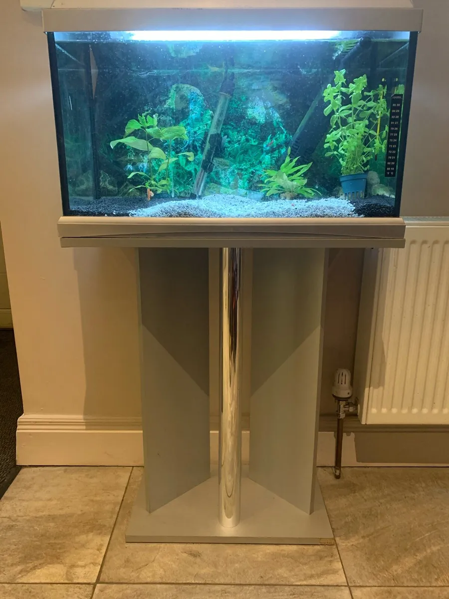 Aquarium Silver Jewel Fish Tank with Stand - Image 2