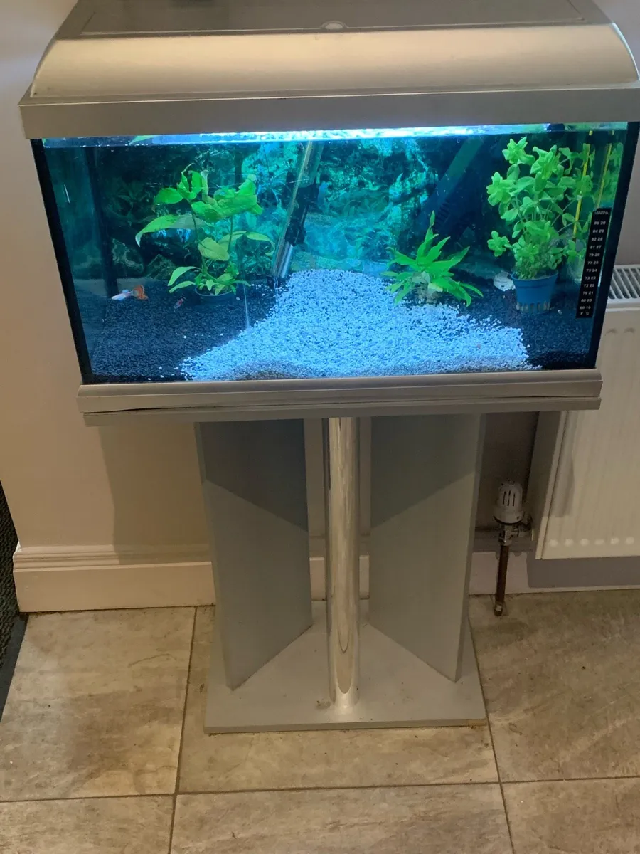 Aquarium Silver Jewel Fish Tank with Stand - Image 3