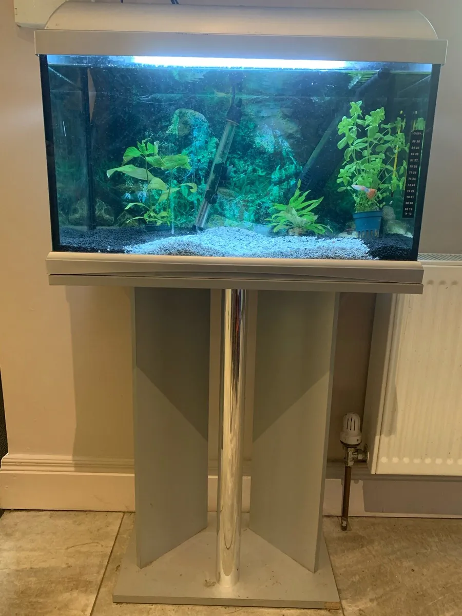 Aquarium Silver Jewel Fish Tank with Stand - Image 4