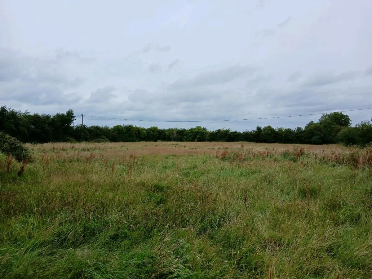 2 acres of Meadow