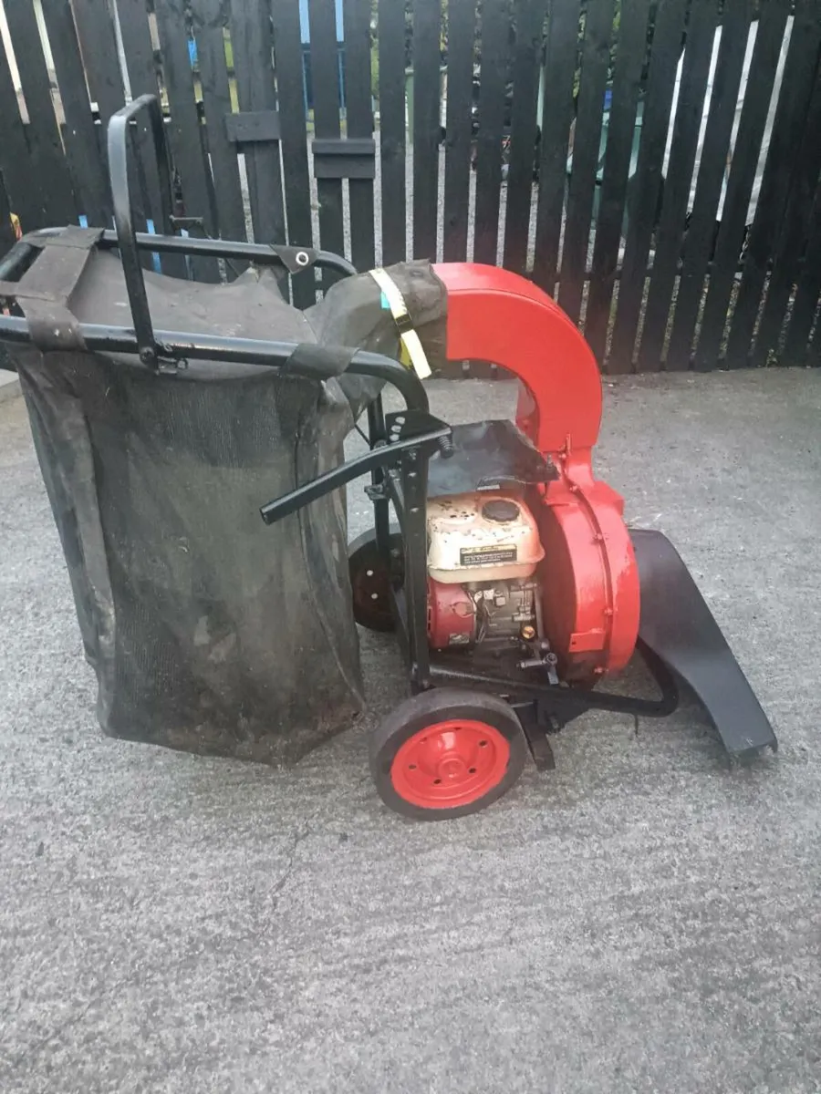 Yard vacuum - Image 2
