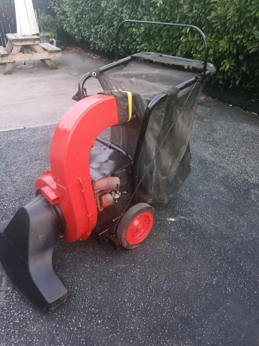 Yard vacuum - Image 3