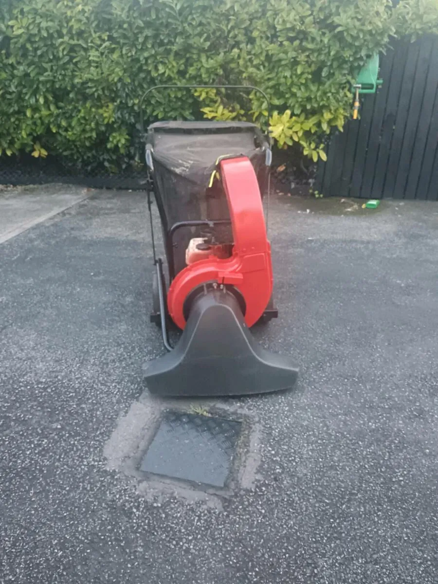 Yard vacuum - Image 4