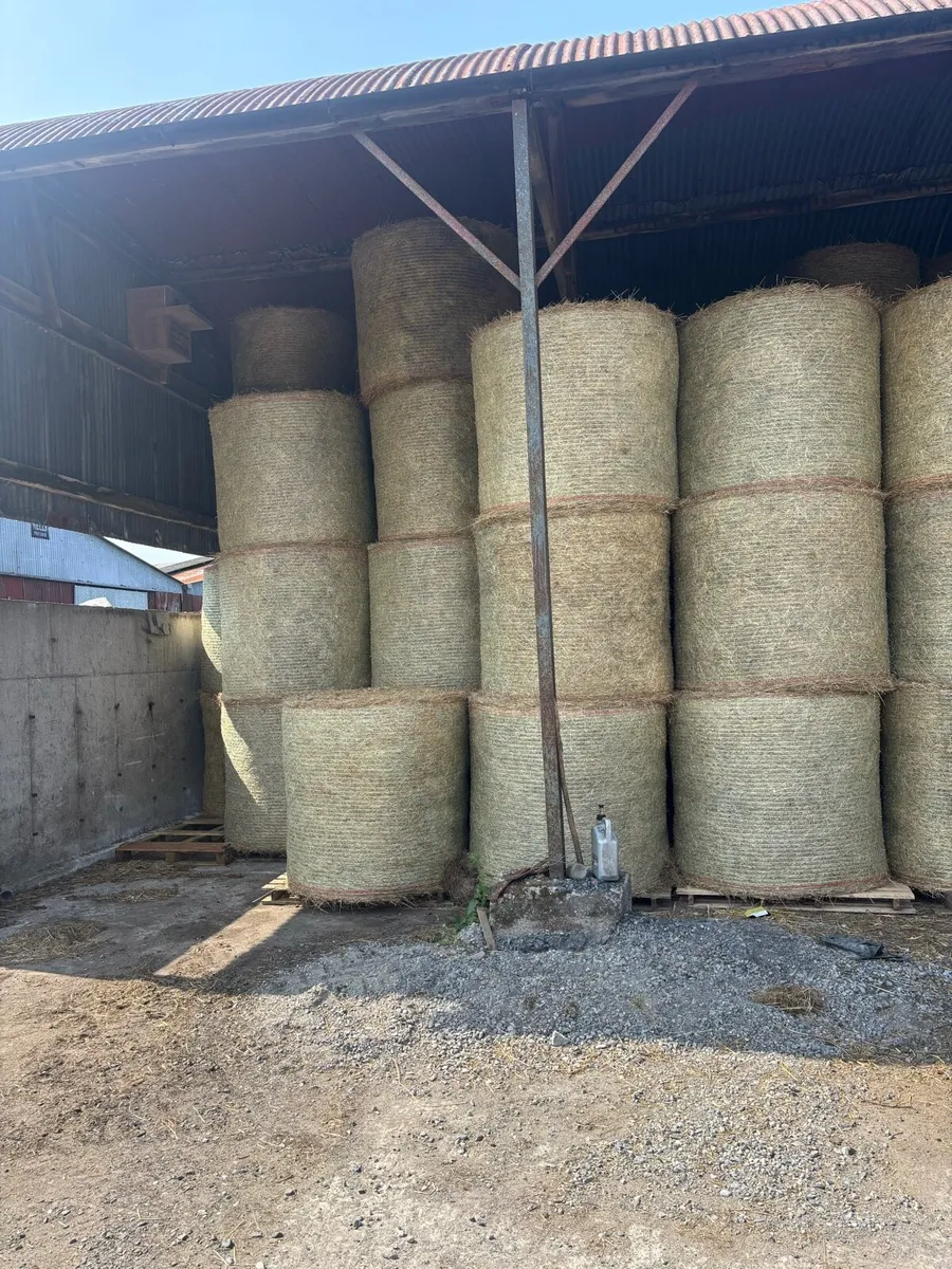 Bales of hay
