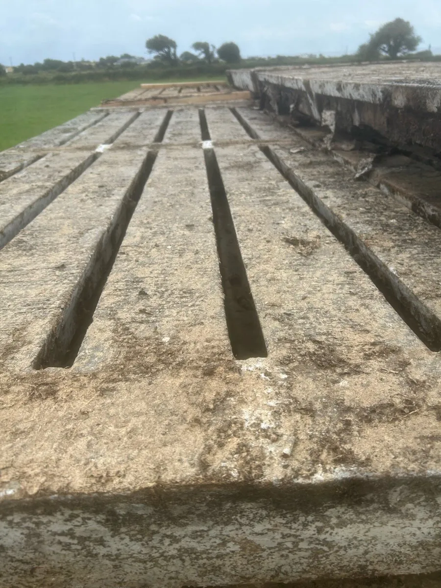 Cattle slats - Image 1