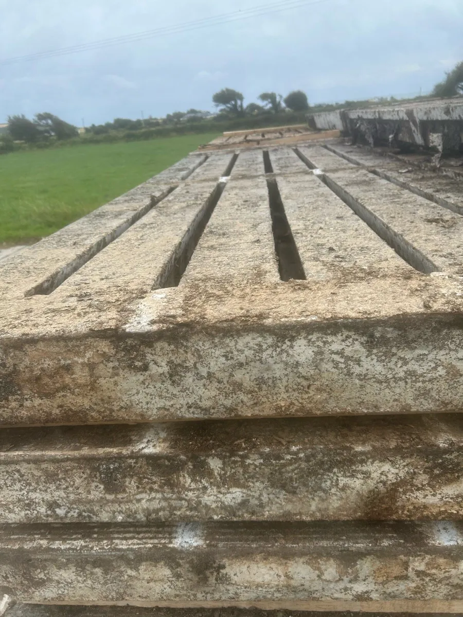 Cattle slats - Image 2