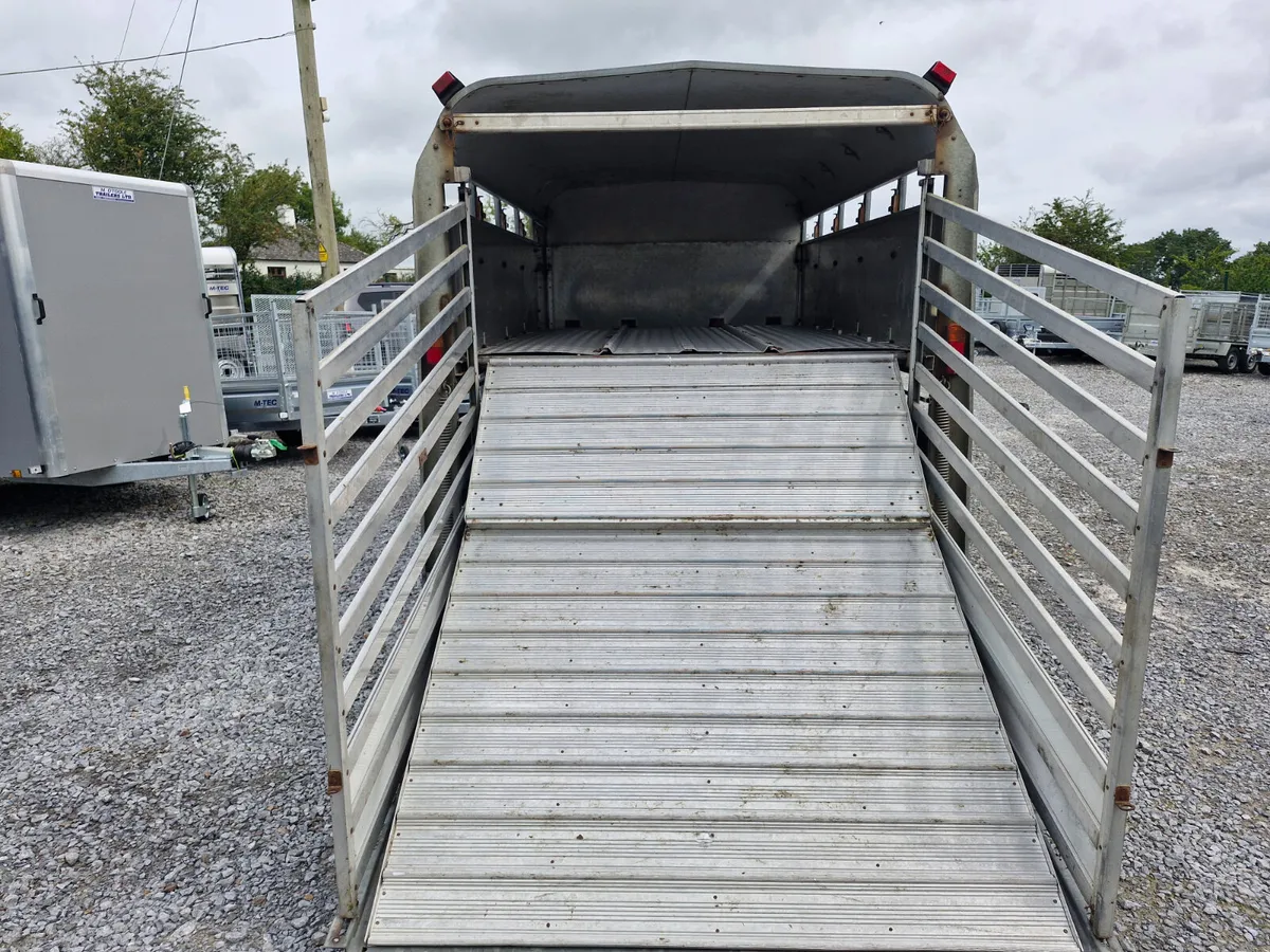 IFOR WILLIAMS   10' x 6' TRAILER WITH DECKS - Image 3