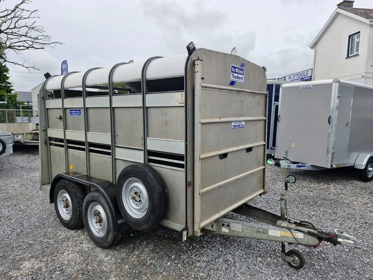 IFOR WILLIAMS   10' x 6' TRAILER WITH DECKS - Image 1
