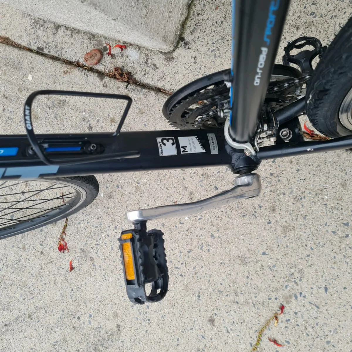 Bicycle - Image 4