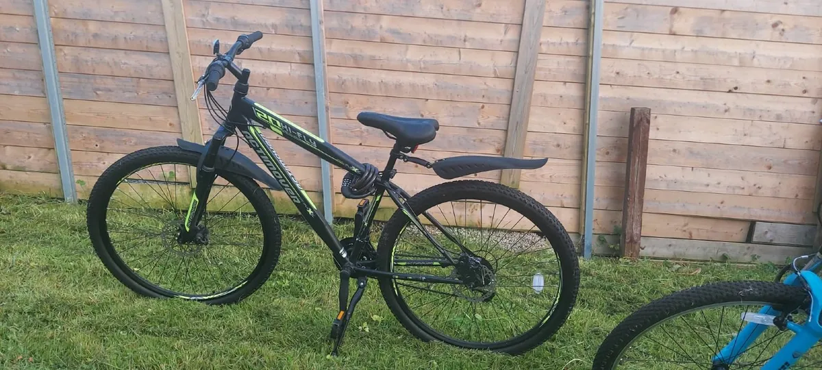 bicycle - Image 2