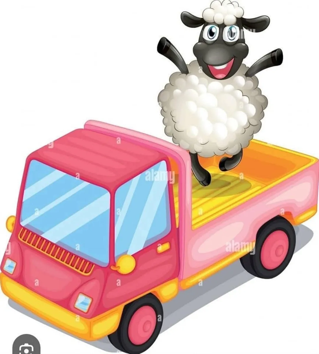 Suffolk rams sheep - Image 3