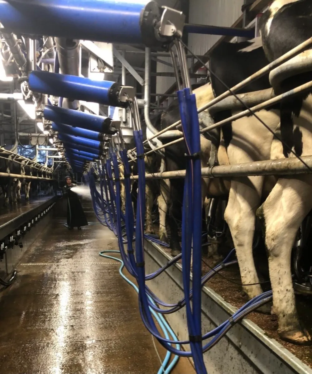Relief Milker Available - Image 1