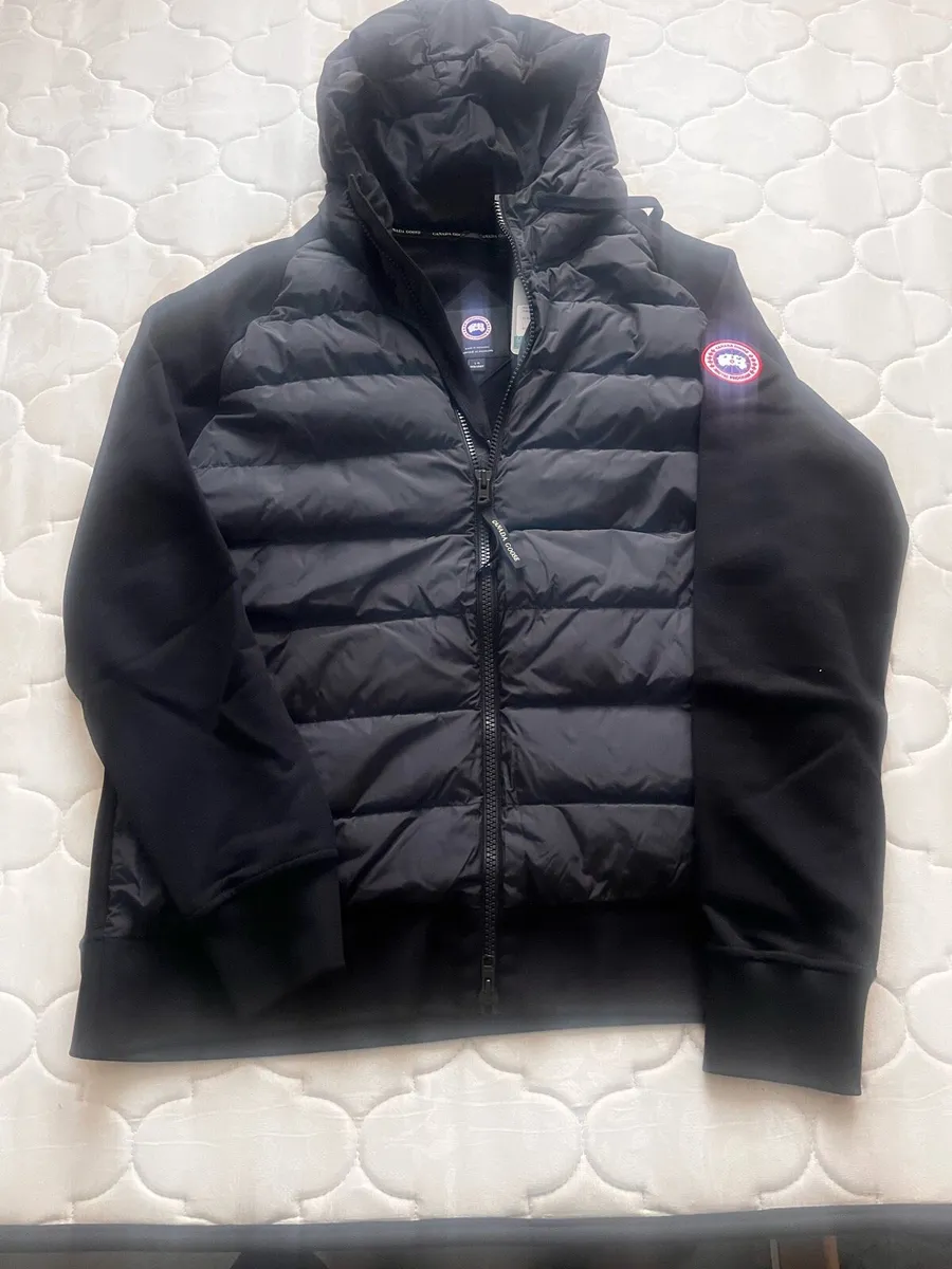 Canada goose - Image 1