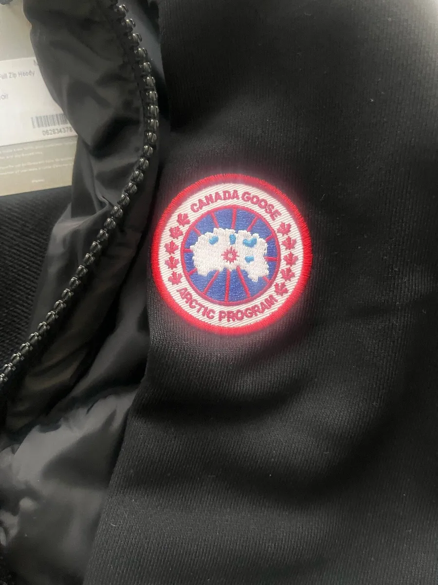 Canada goose - Image 2