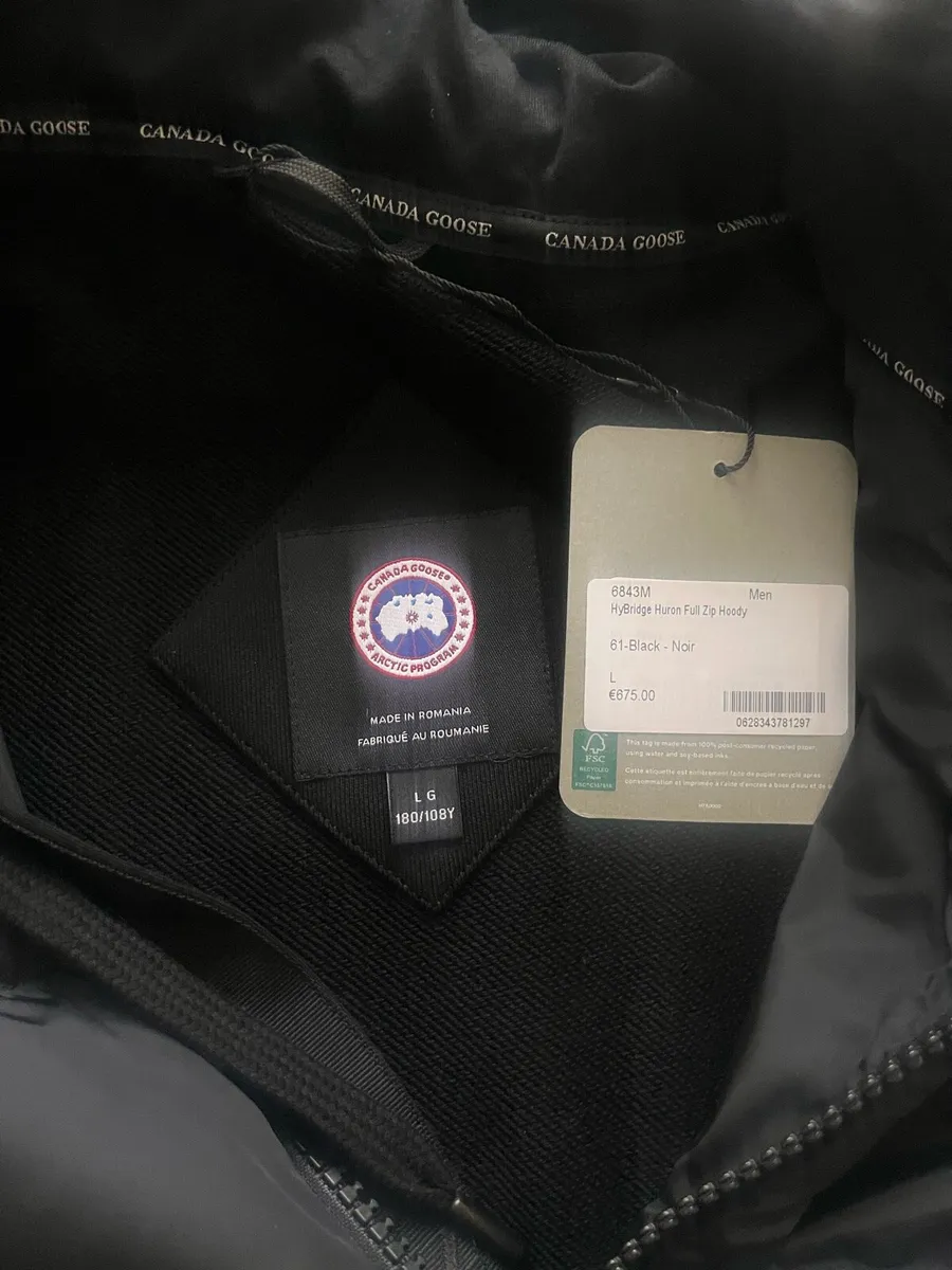 Canada goose - Image 3