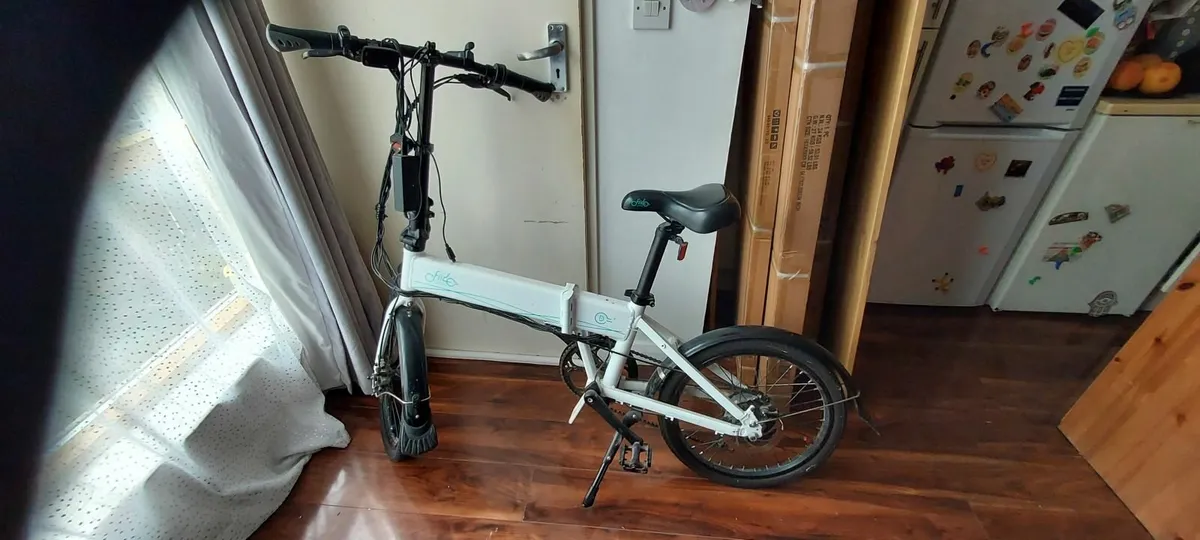 Fiido D4S Folding Sport Electric Bike - White / EU