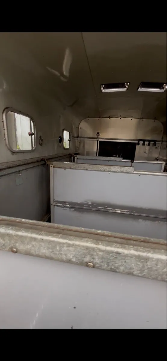 510xl jumbo horse box - Image 4
