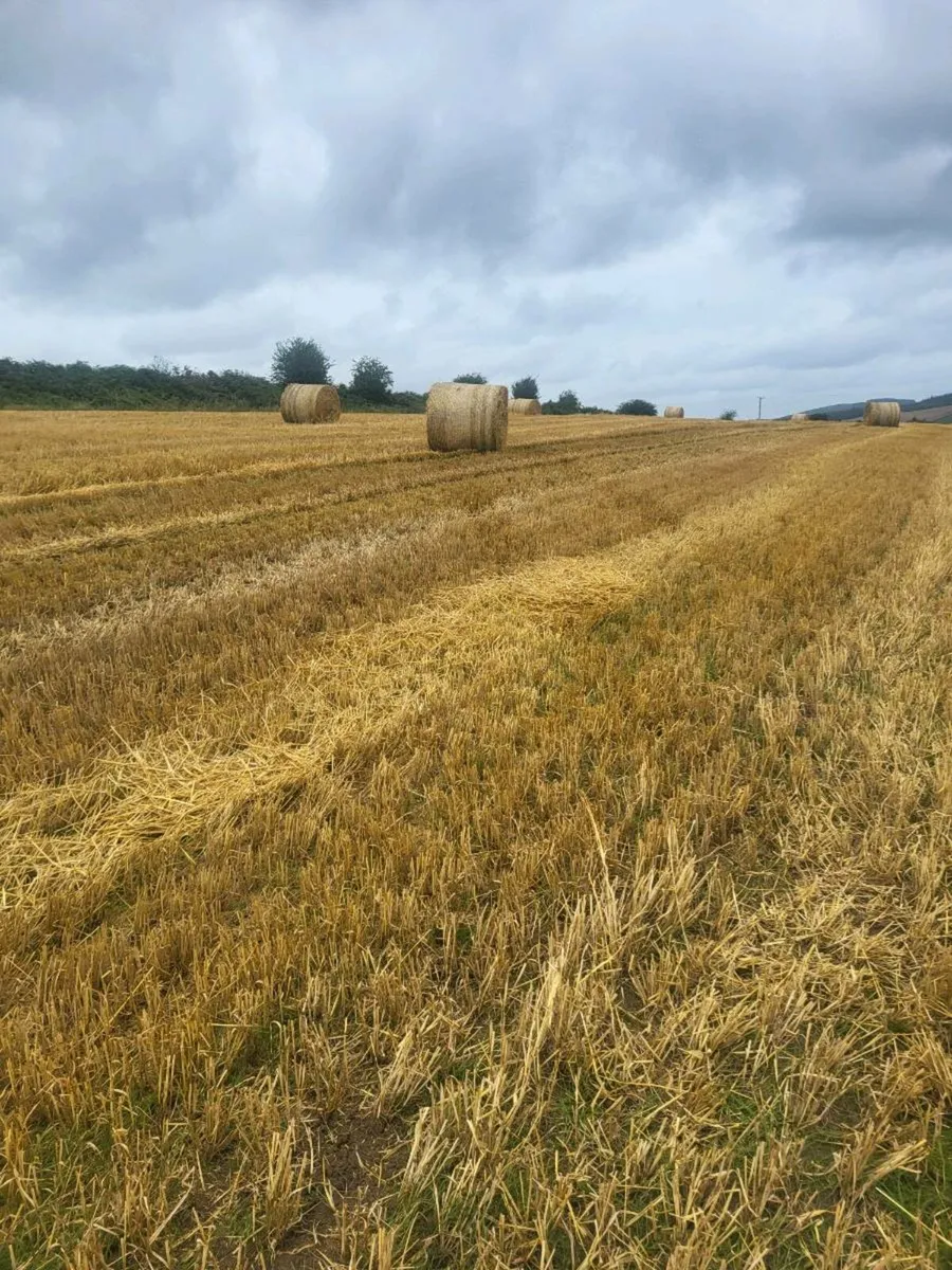 Straw bales - Image 1