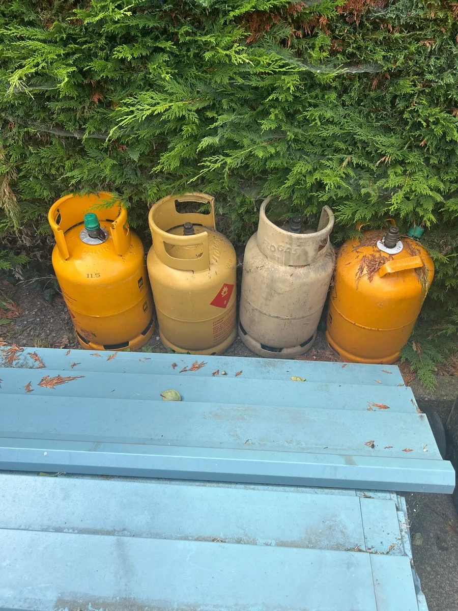 4 BUTANE GAS TANKS EMPTY €25