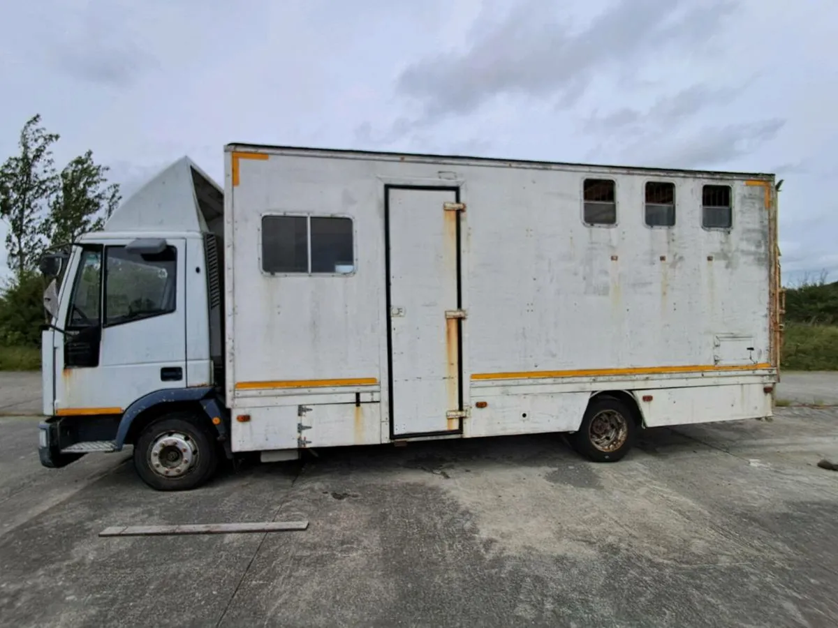 FORD IVECO Horse Truck - Image 3
