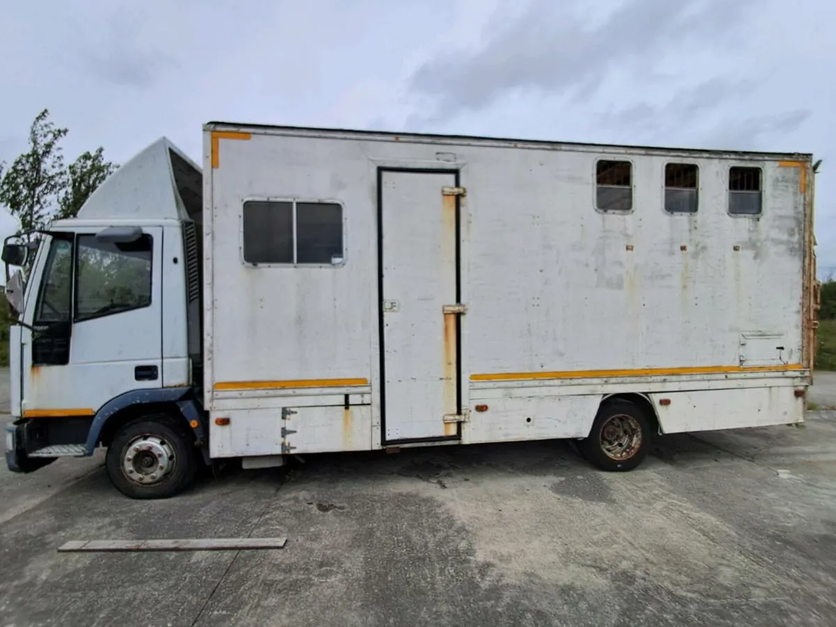 FORD IVECO Horse Truck - Image 4