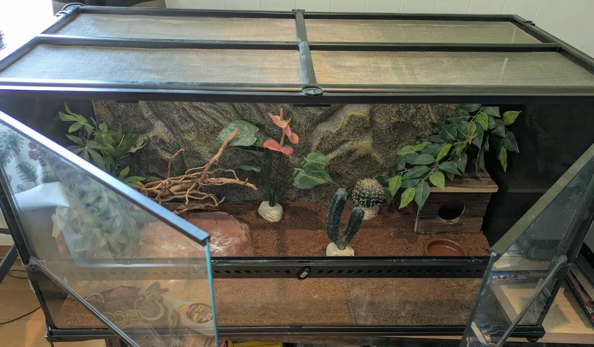 Reptile Terrarium - Image 3