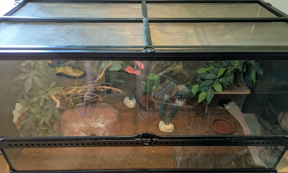 Reptile Terrarium - Image 4