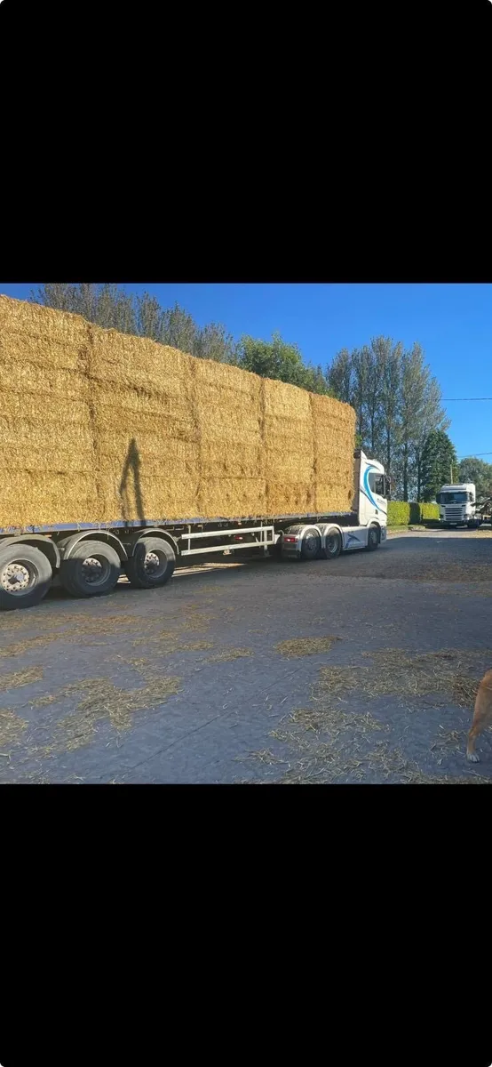 Straw