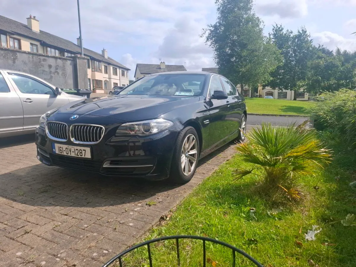 BMW 520 2.0D - Image 2