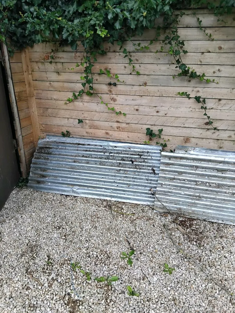 Galvanised Sheeting - Image 3