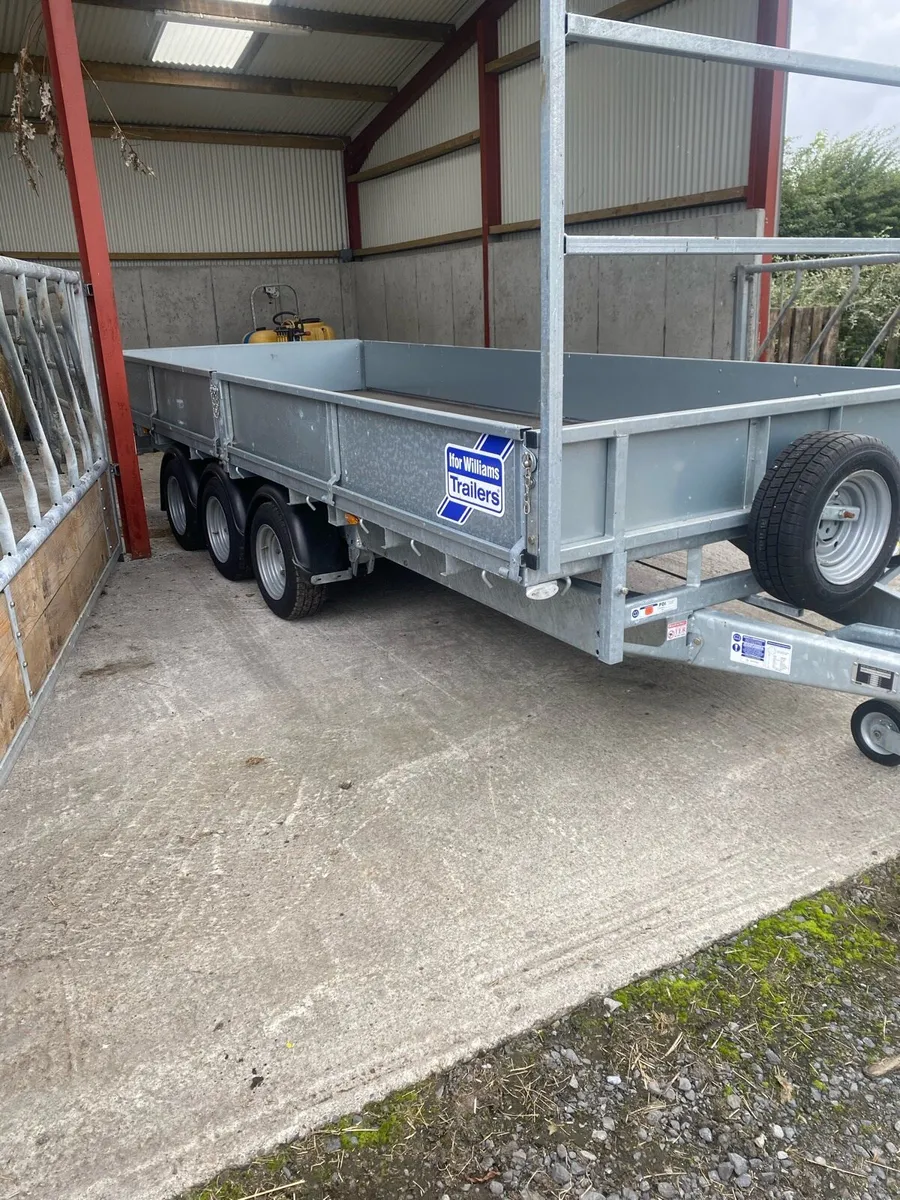 New Ifor Williams lm166 - Image 3