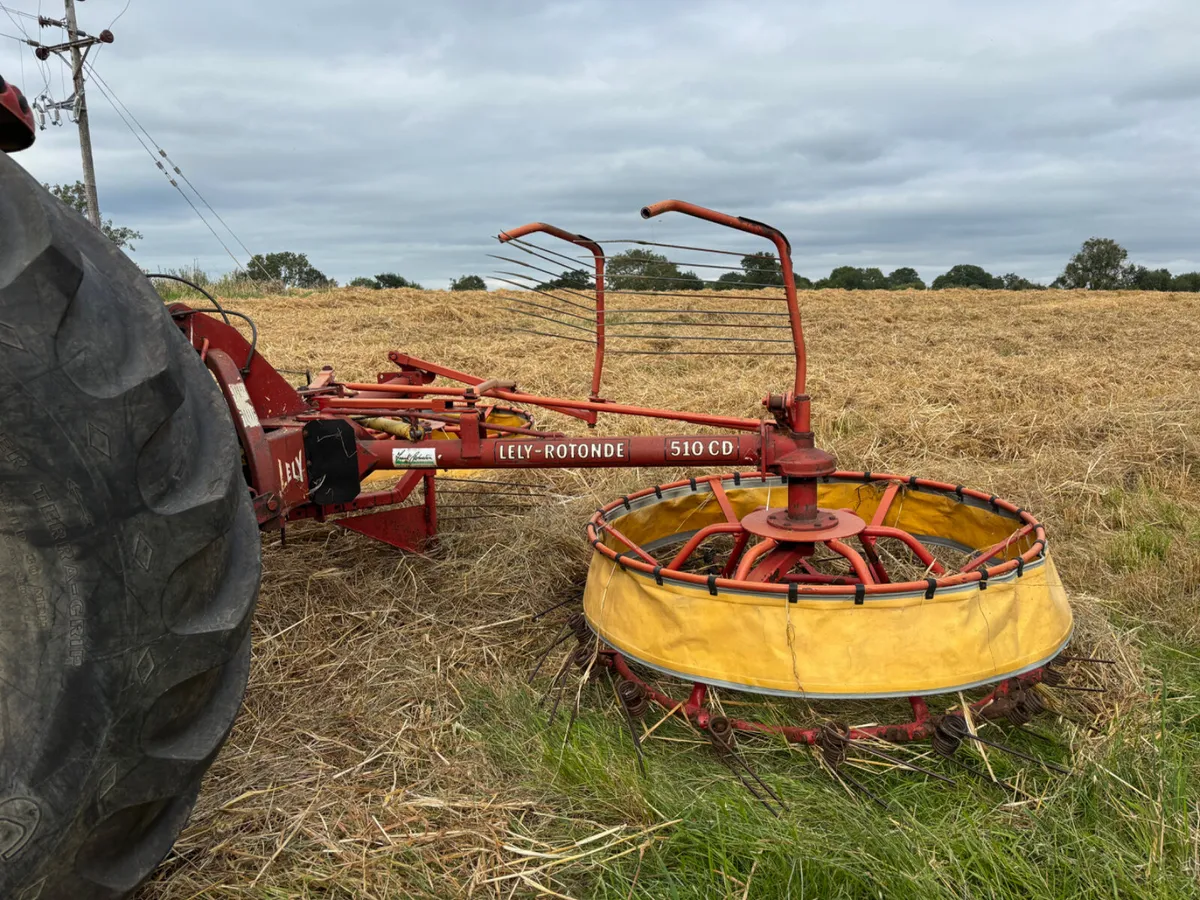 Lely Rotonde 510CD Rake - Image 4