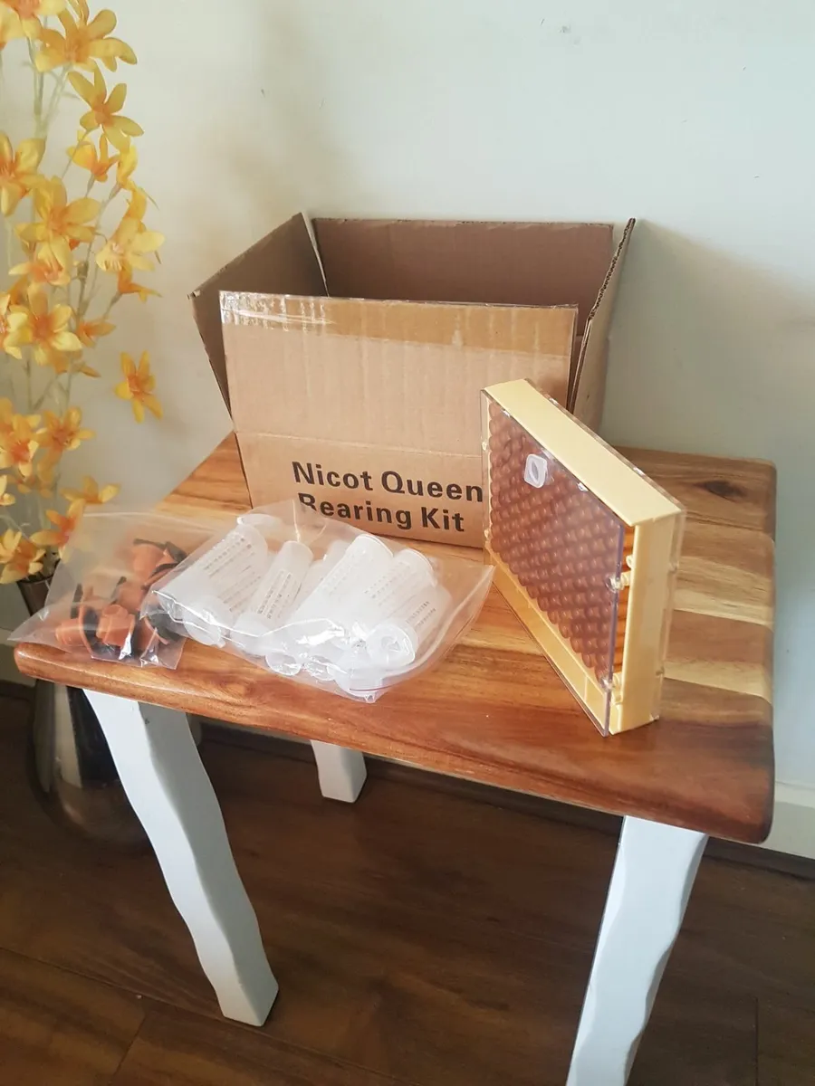 Beekeeping - Image 1