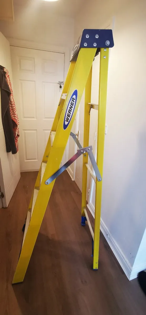 Werner 6 tread Fibreglass Step Ladder (H)1.67m - Image 1