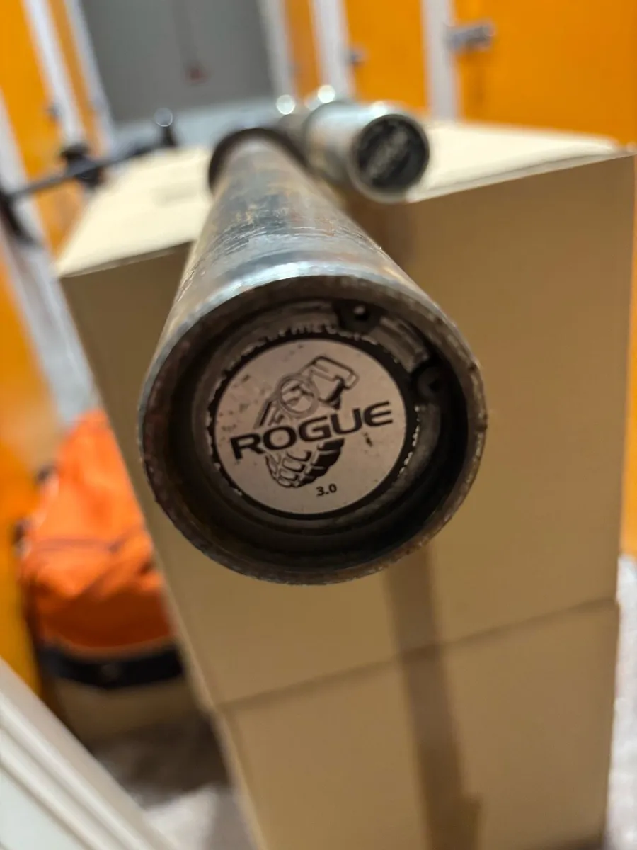 Rogue barbell and Plates - Image 1