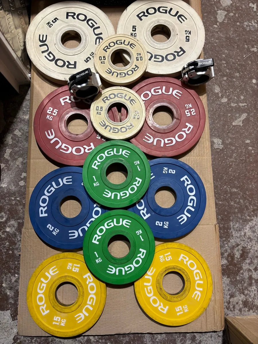 Rogue barbell and Plates - Image 3