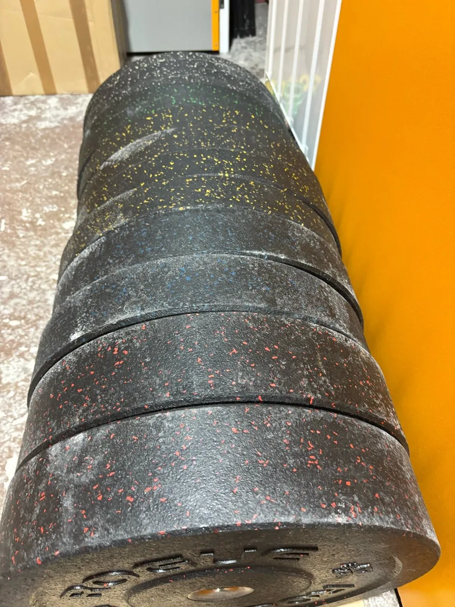 Rogue High Temp Bumper Plates and Fractional Plate - Image 4