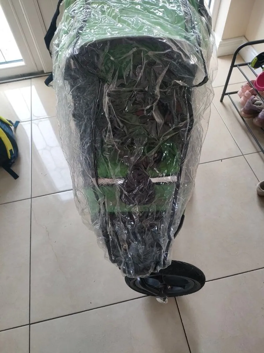 Buggy - Image 2