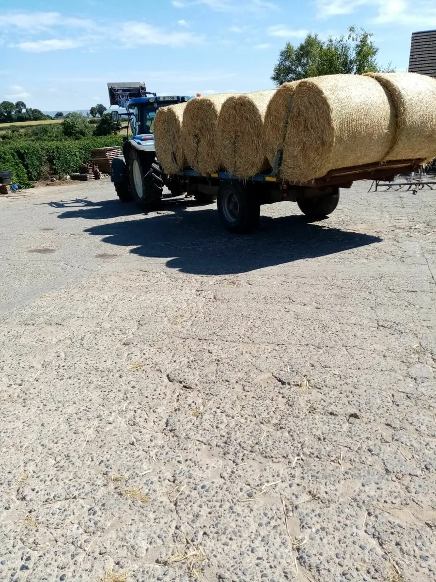 spring barley straw and hay