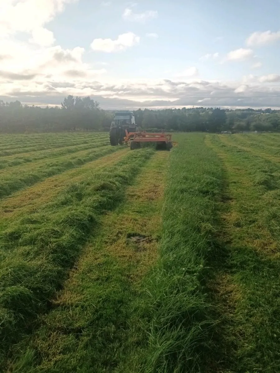 Mower - Image 2