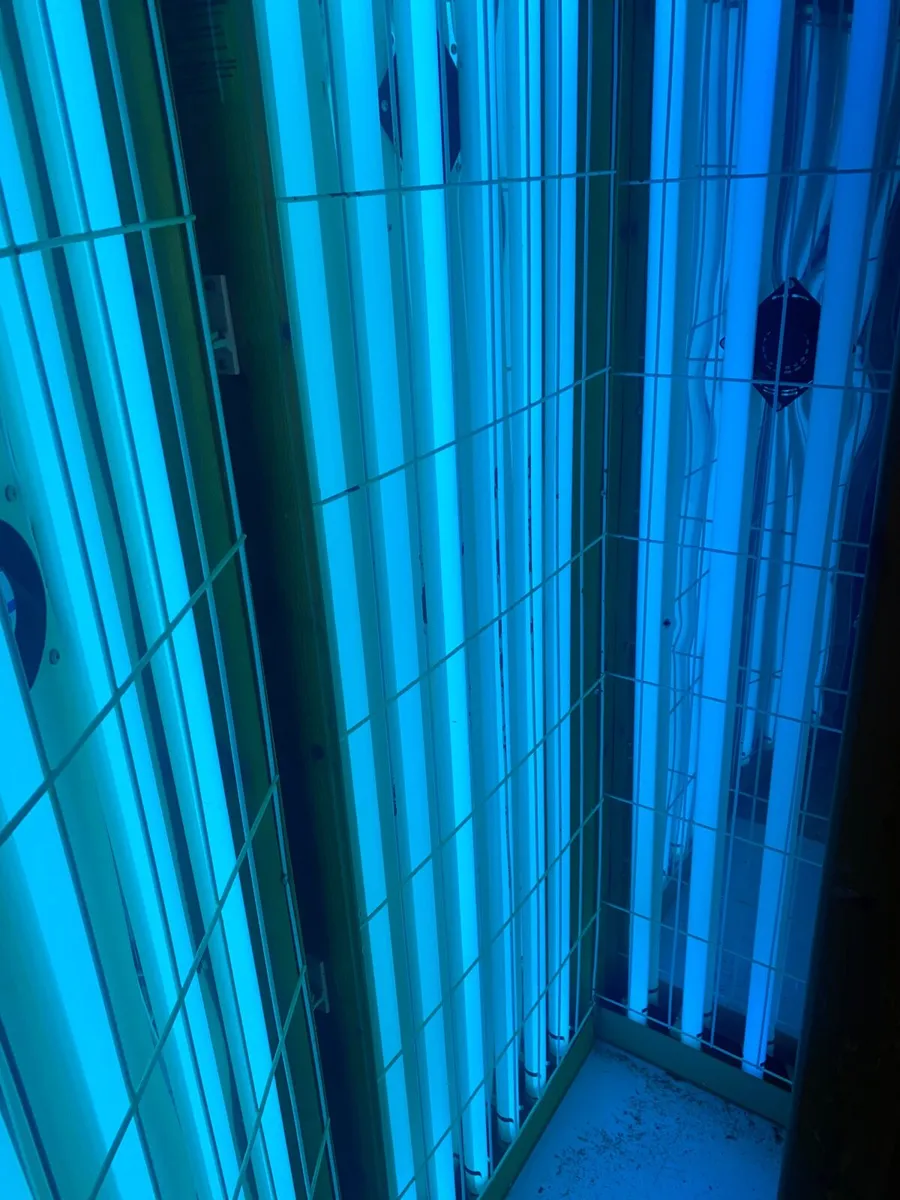Sunbed - Image 3
