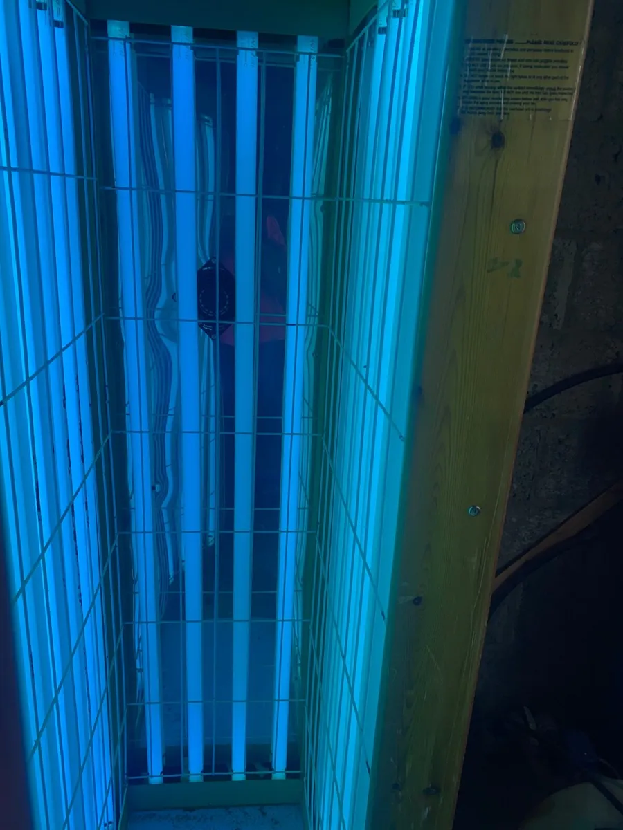 Sunbed - Image 4